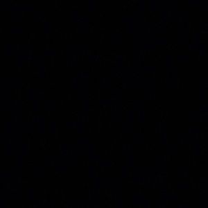 Meet your Posher, Steve